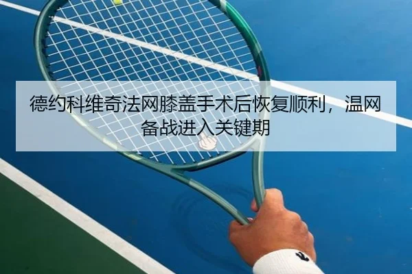 de-yue-ke-wei-qi-fa-wang-xi-gai-shou-shu-hou-hui-fu-shun-li-wen-wang-bei-zhan-jin-ru-guan-jian-qi-2-261.jpg