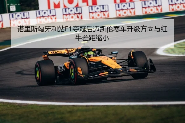nuo-li-si-xiong-ya-li-zhan-duo-guan-hou-mai-kai-lun-sai-che-sheng-ji-fang-xiang-yu-hong-niu-cha-ju-suo-xiao-2-289.jpg